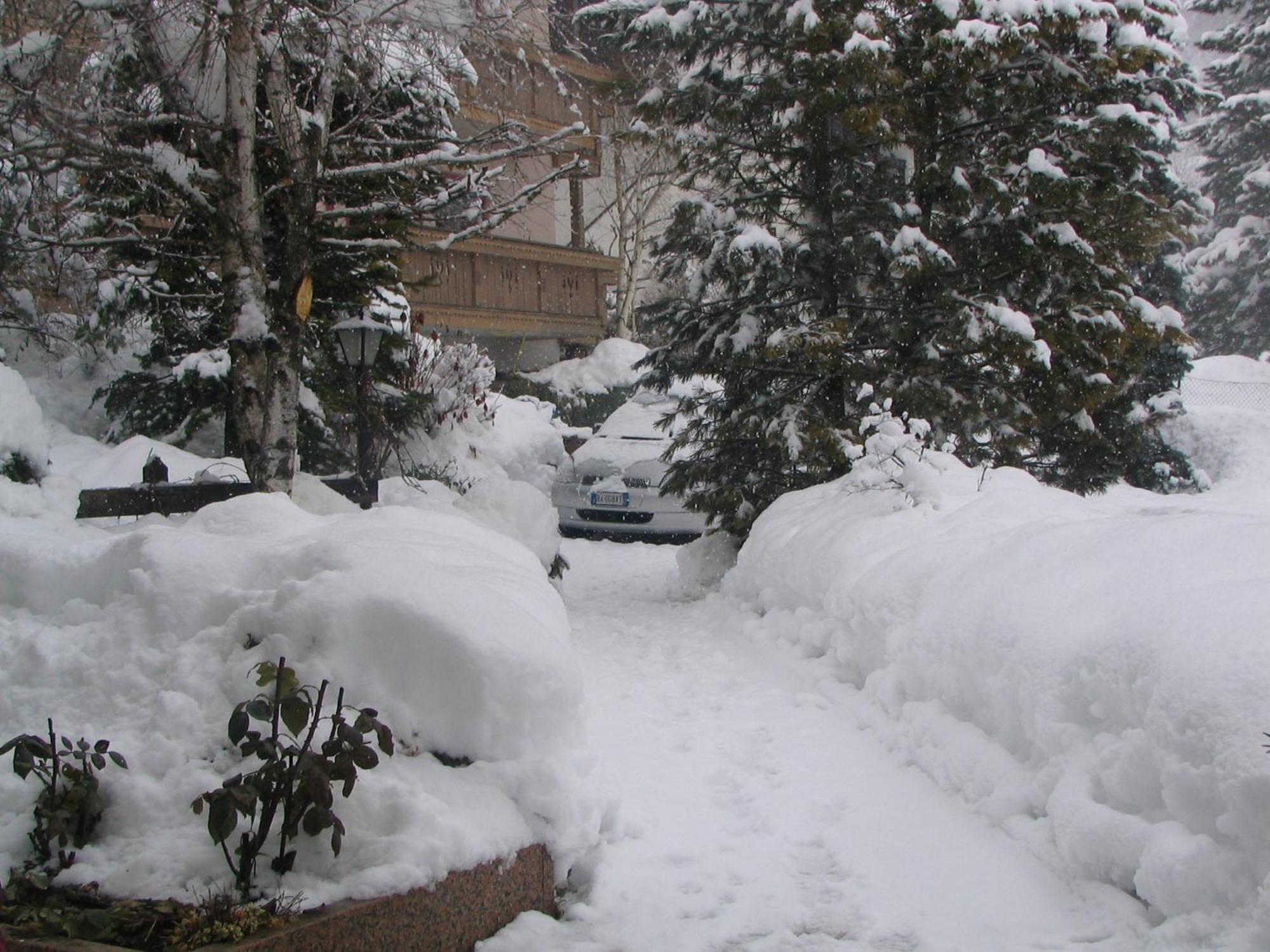 Villa Mirabell Cavalese Dış mekan fotoğraf